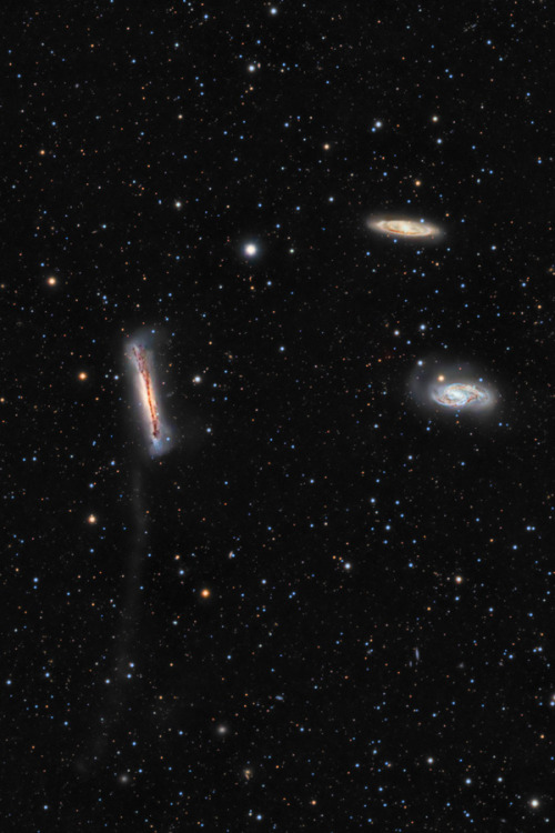 gravitationalbeauty: The Tidal Tail of NGC 3628 