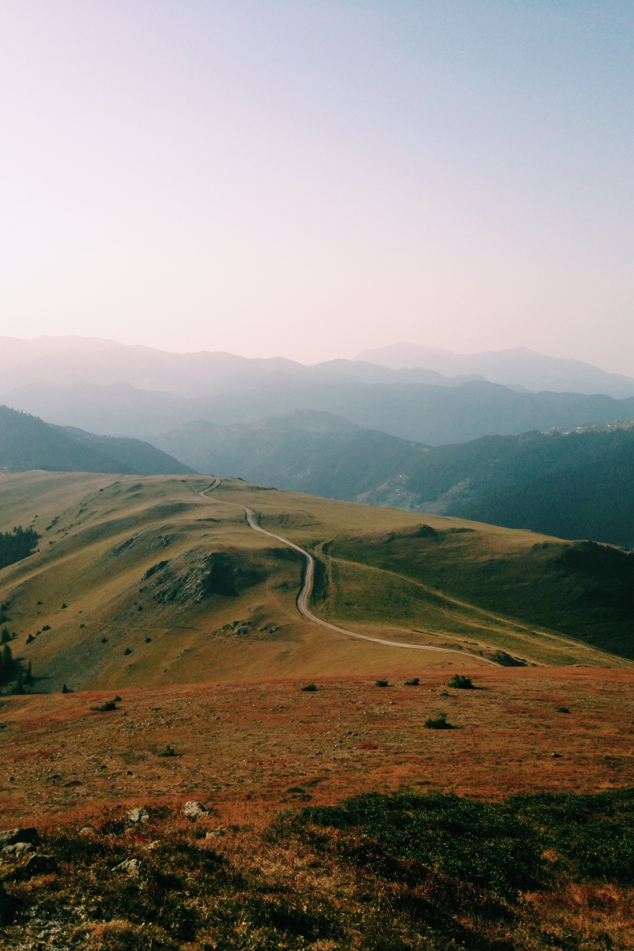 theencompassingworld:  lvndscpe:  Lonely road | by Cagatay Orhan This photo as wallpaper