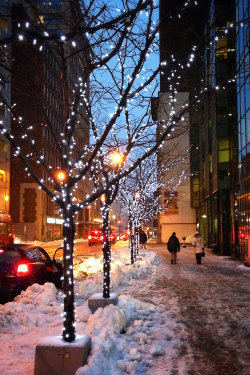 humorto-vivo:  Downtown Ottawa Winter - {by Vu Nguyen} | {Follow on 500px} 