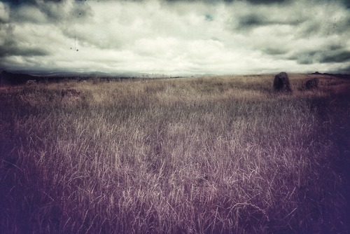 Grey Croft Stone Circle, Cumbria, 4.8.18. This is a first visit to this site for me. Located close t