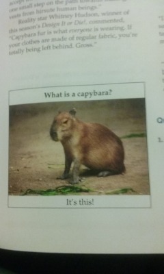 cogentranting:  Allow me to share with you one of the best pictures I’ve ever found in a textbook. 