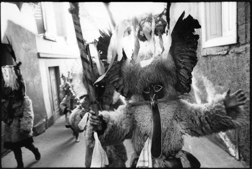 de-salva: Kurenti  © Stojan Kerbler (Slovenian photographer) * Kurent or Korant 