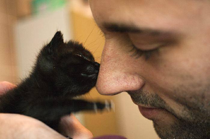 catsbeaversandducks:  “All you need is love… and a cat.” Photos via Real Men