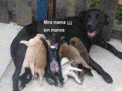 pollo-con-vodka:  Mira mamá, ya puedo *w* 