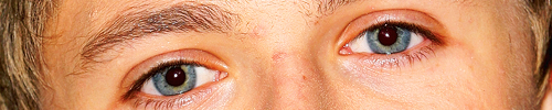 Porn photo 1d-s:  niall’s perfect eyes appreciation