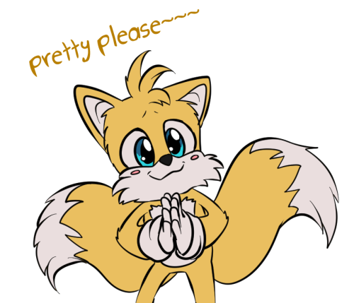 i care them your honor. the movie made tails and knuckles so cute and funny. i love their sibling en