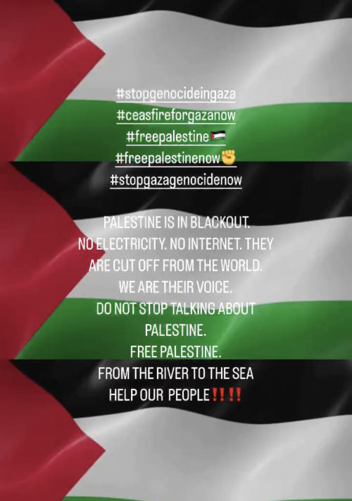 FREE PALESTINE NOW