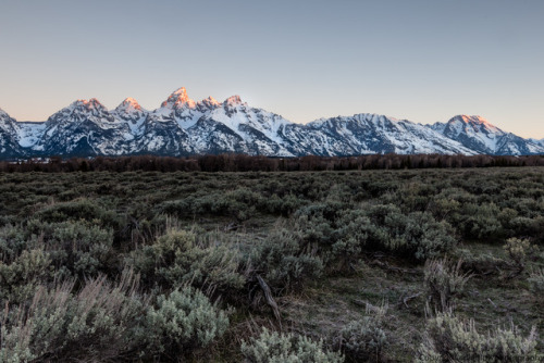 cpleblow:alpenglow on the grand tetons (May 2017)by cpleblow