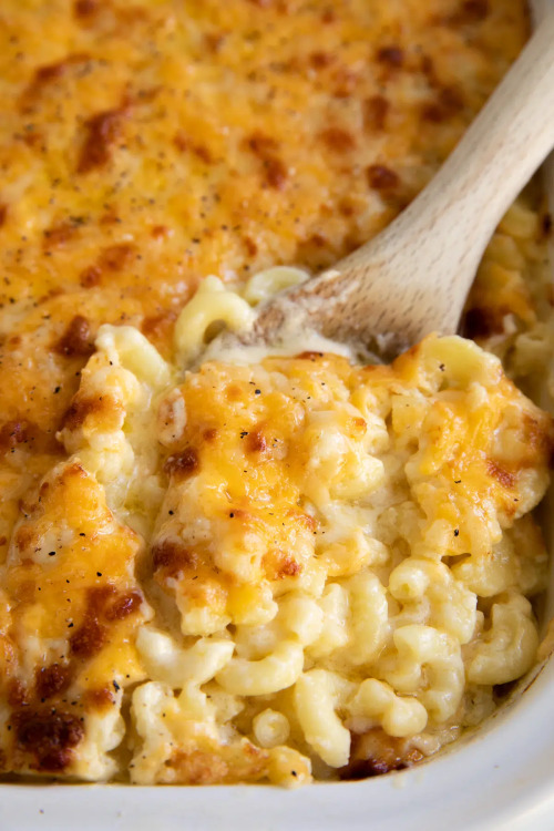 verticalfood:Baked Macaroni and Cheese