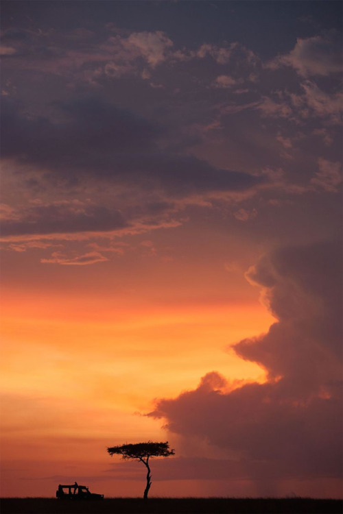 Golden sunsets of Masai Mara Natural Reserve, captured by Paul Goldstein.