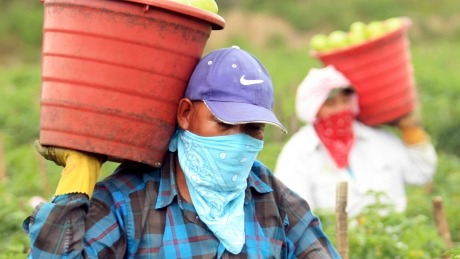 Farmworker advocates press EPA to update pesticide rules
