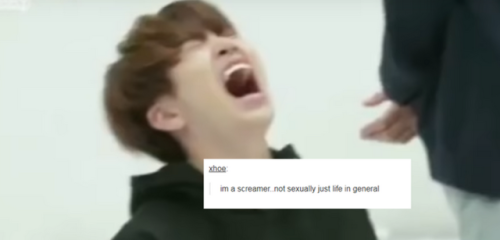 mahayotaruk:got7 + text posts  