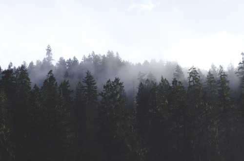 autumnsaurora: © Autumns AuroraTumblr Flickr Instagram