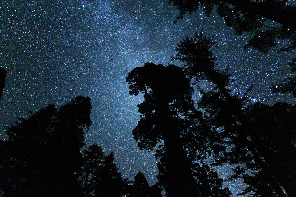 quiet-nymph:  Photography  by kern.justin on Flickr