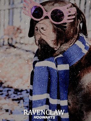 miones:hogwarts houses + dogs