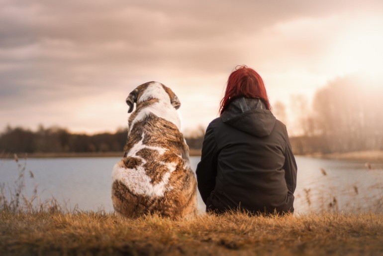 Dogs and Their Owners Share a Risk of Developing Diabetes   Dog owners whose pets are diabetic are more likely to develop type 