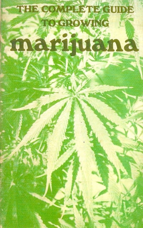 Light up & toke away