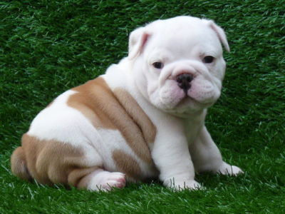 doodooprincess:  sitting n standing 
