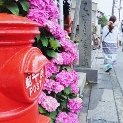 naotake-speaks:  6月を散歩 - A walk in the rainy season 