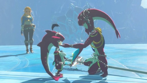 big-bad-bazz-brigade:Reblog long tailed Prince Sidon and his awesome sister Princess Mipha for 10 ye