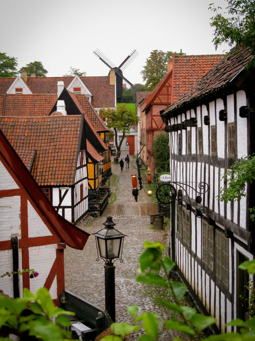 Odense historic town / Denmark by (Mark B).