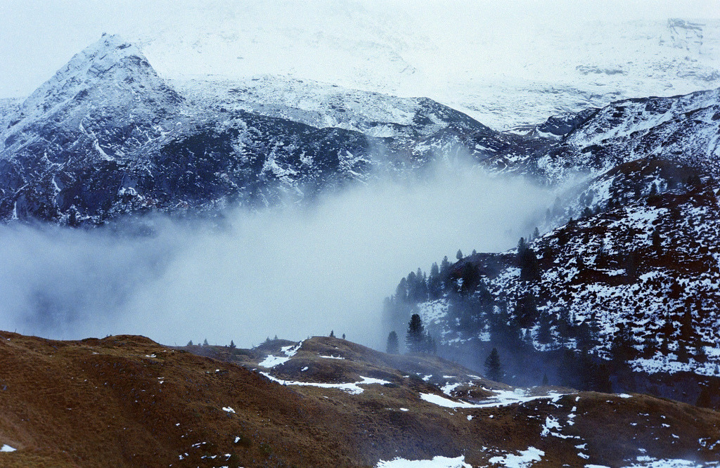 brutalgeneration:  (by xbacksteinx)