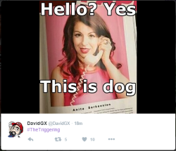 kafkamilktea:  punlich:  gayabortions:  joyceanfartboner:  dude what?  twitter user DavidGX seems extremely pleased at comparing a woman to a dog, this very creative and original thought he had, which will surely be very upsetting to many people and not