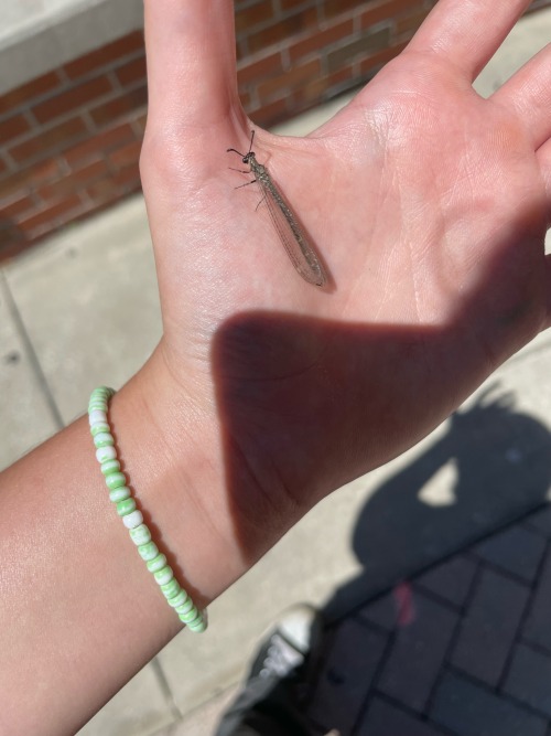 Silly Lil Dude I Found In My School
