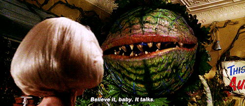 movie-gifs: “I need me some water in the worst way.” Little Shop of Horrors (1986, dir. Frank Oz) Th