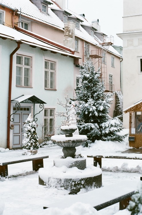 travelsofabrokegirl: Tallinn, Estonia If you don’t add Tallinn to your Eurotrip plans, you&rsq