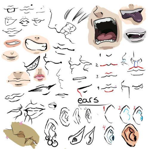 helpyoudraw:  Mouth and Tongue References adult photos