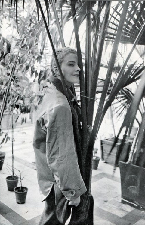 tomorrowcomesomedayblog:Jean Seberg, calm in trees