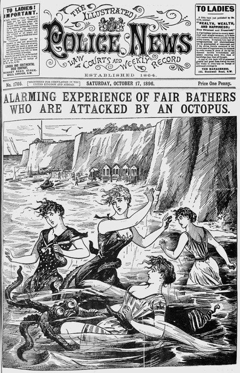 miskatonicaquarium:swooping in to post this absolute gem from my research 