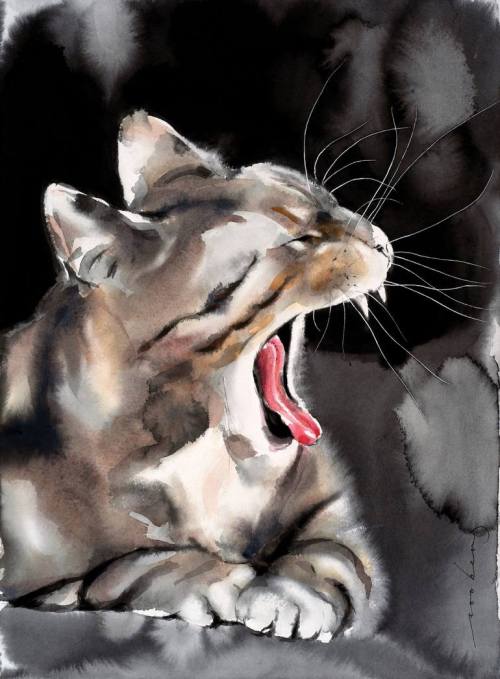  Soo Beng Lim Cat Yawn