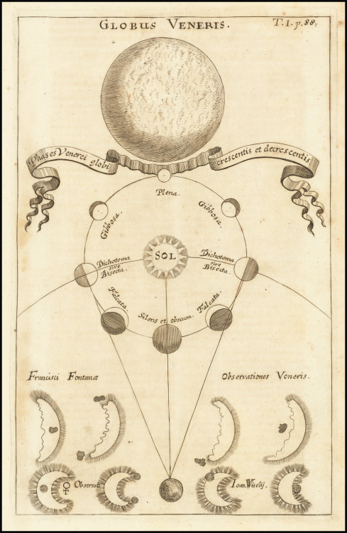 Globus Veneris, engraving by Georg Christoph Eimmart the Younger, from Specula physico-mathematico-h