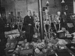 deathandmysticism: Professor Virchow in his laboratory, Le Monde Moderne, 1895 