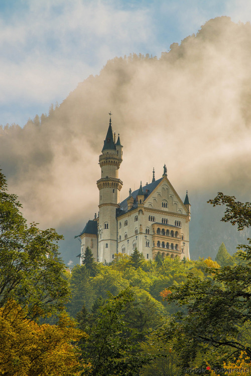 allthingseurope:Schloss Neuschwanstein, Germany (by S.Rose Fotografie)