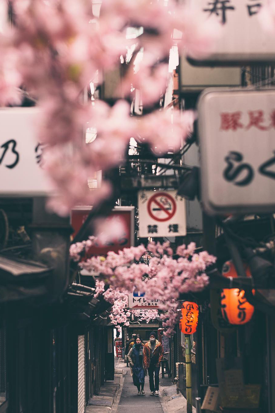 banshy:  Shinjuku-ku // Nicholas La  