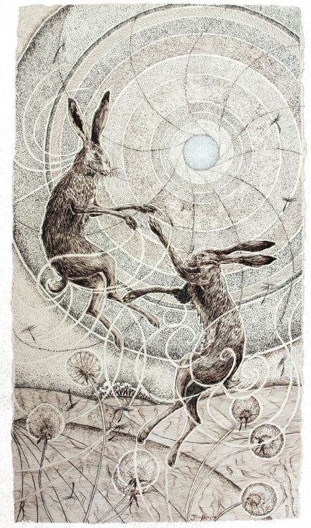 holespoles:  Spring Spirit by Jane Keay - pen and ink | Hare art | Pinterest 