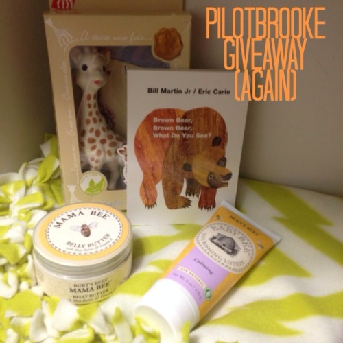 pilotbrooke:  Okay, so I realize I am dumb and deleted like, the day before my giveaway ended. I del