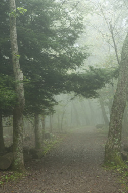 ominousraincloud:Hawksbill Mountain Trail | By Mike Potter | Shenandoah National Park