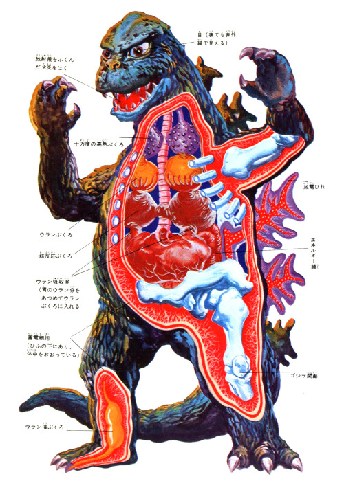 unexplained-events:Godzilla vs Hedorah Anatomical Illustration 