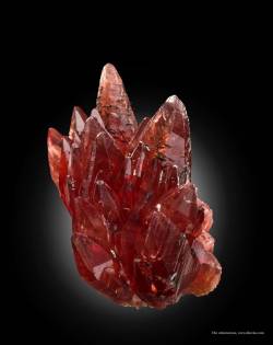 ifuckingloveminerals:  Rhodochrosite, ManganiteN'Chwaning