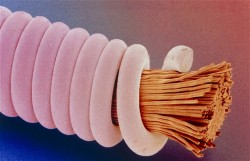 doloresd3:  Microscopic picture of a guitar