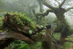 seafarers:  Moorland Copse by Duncan George