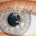 morbidology:Persistent pupillary membrane (PPM) is an eye condition which involves