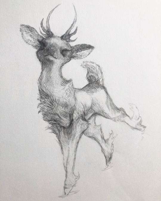 grossly endearing — Crown of Bone