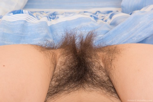 Porn photo hairywomenblog:    More pics of hairy women