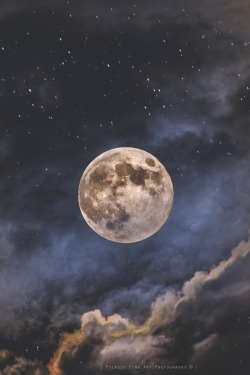 Visualechoess:  Enchanted Moon Ii - By: Nima Shayesteh 