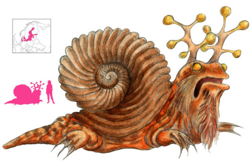 Sarmatian Sea SnailOne of my all-timeFavorite creatures, inspiredMe to start this book!https://abook